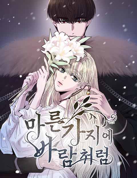 마른 가지에 바람처럼