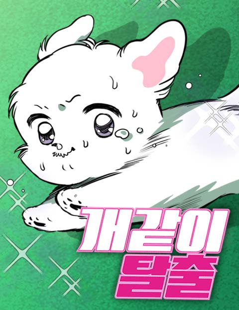 개같이 탈출