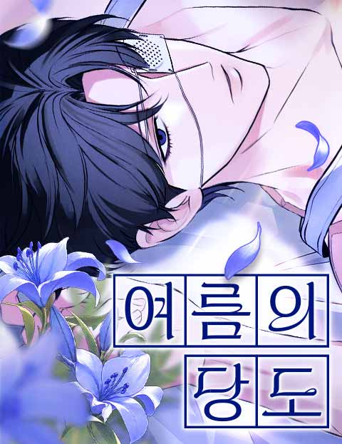 여름의 당도